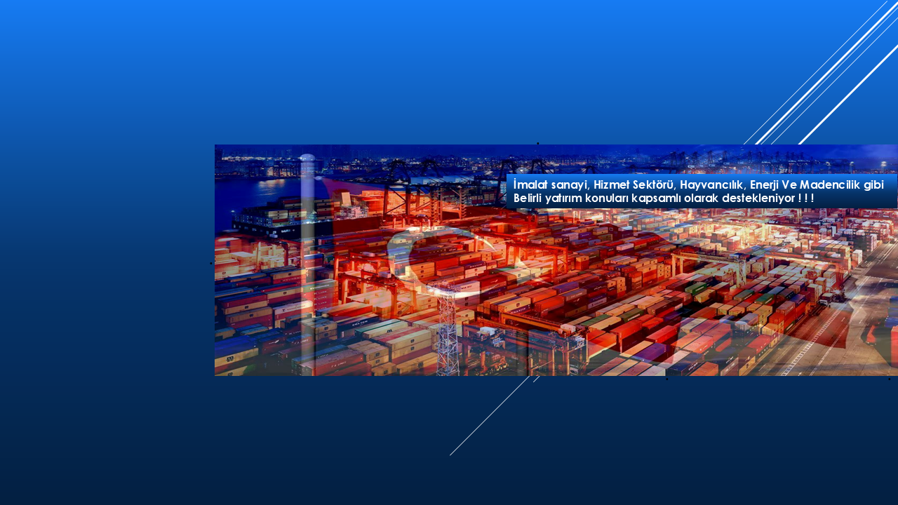 Hedef Yatırımlar Teşvik Sistemi