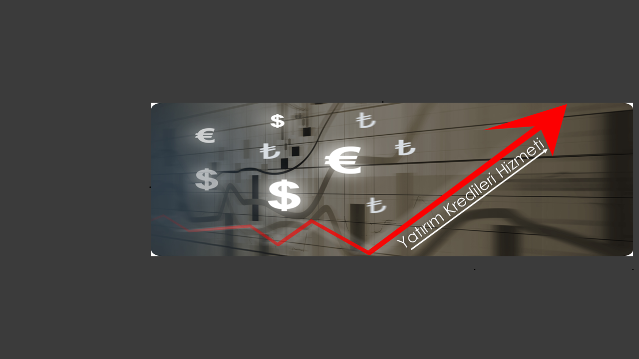 Yatırım Kredileri Hizmeti